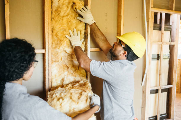 Best Insulation Inspection Services  in Quinnesec, MI